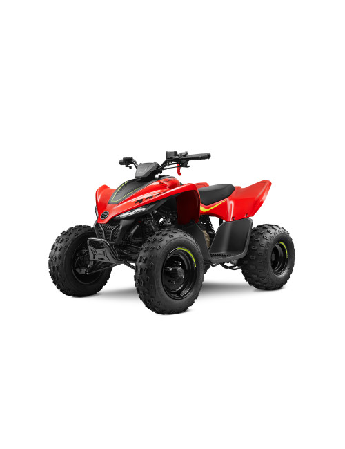 CFMOTO CFORCE 110 2024