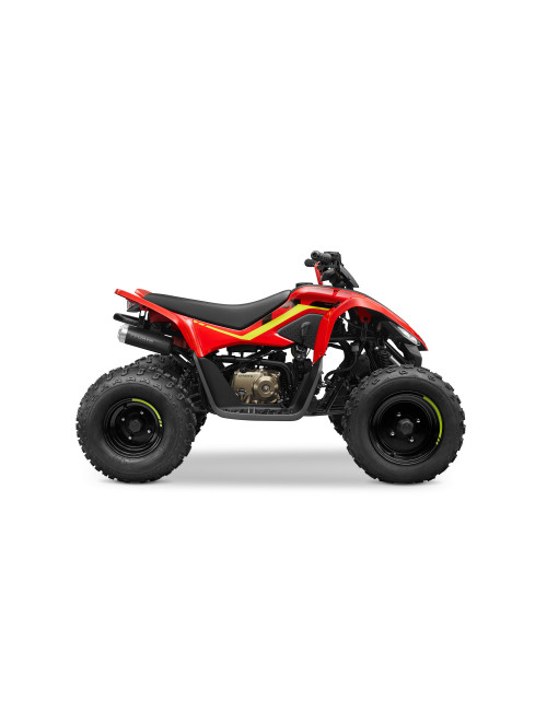 CFMOTO CFORCE 110 2024