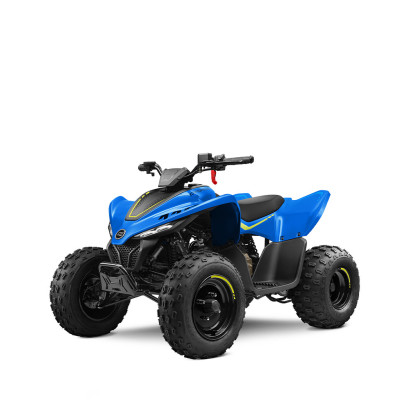 CFMOTO CFORCE 110 2024