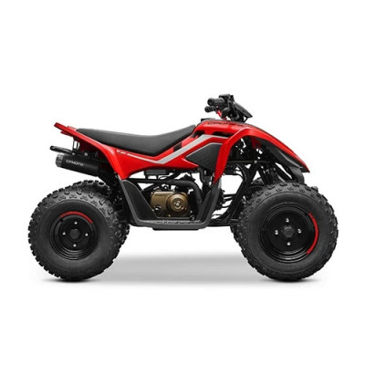 CFMOTO CFORCE 110 FUN 2025