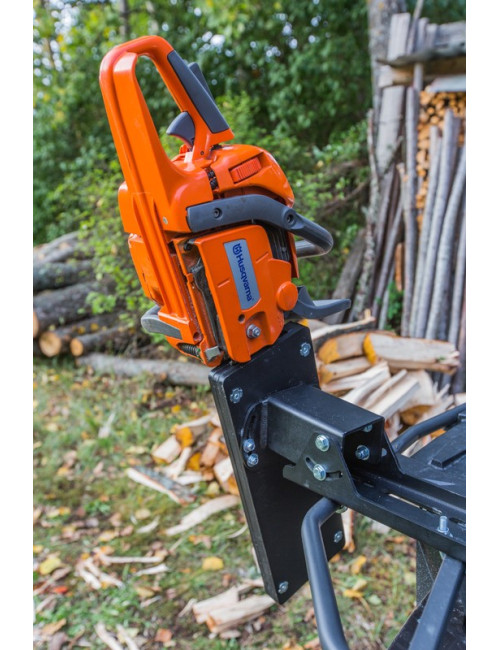 Chainsaw holder